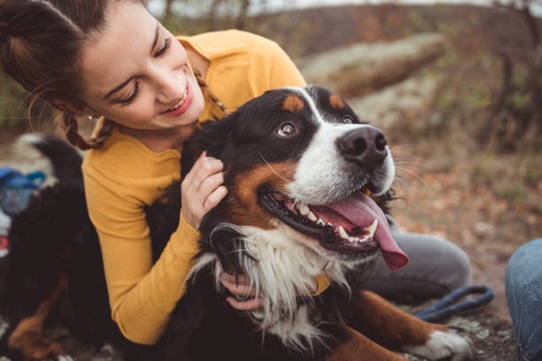 mujer joven con perro - people dog winter cute fotografías e imágenes de stock