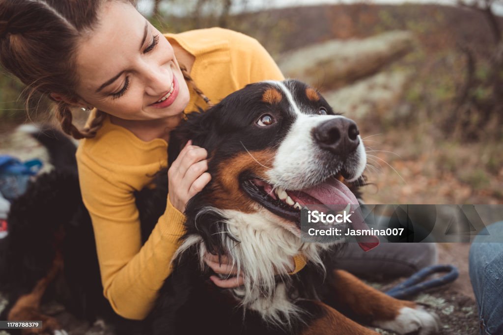 Young woman with dog Dog Stock Photo