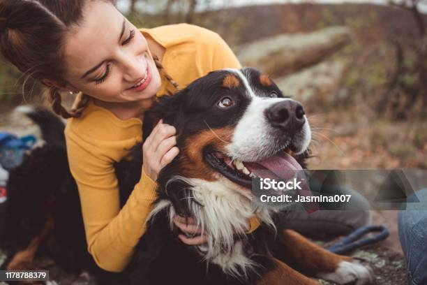 Young Woman With Dog Stock Photo - Download Image Now - Dog, Pets, Happiness
