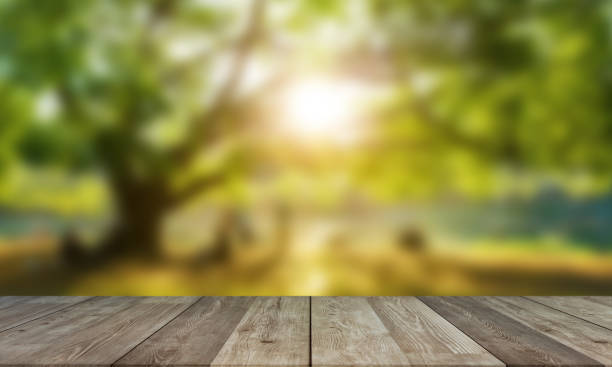 istock Wood Table with Blurred Nature Background 1178789219