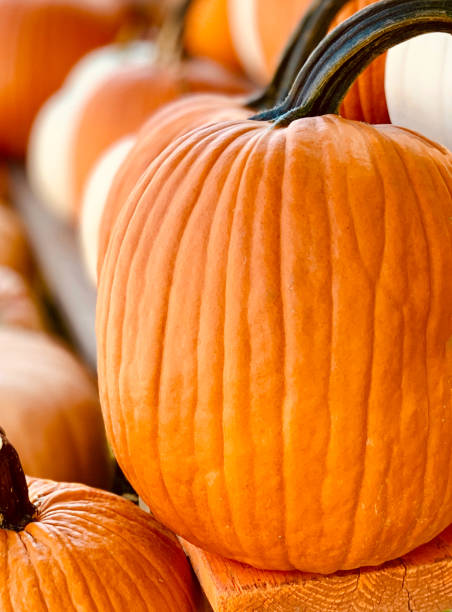 istock Close up of an orange pumpkin 1178789898