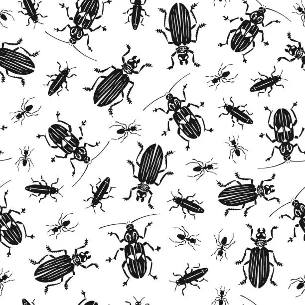 Vector illustration of Seamless pattern with beetles. Hand drawn sketch on white background