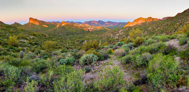 istock Tonto National Forest Desert Mountain Sunrise Landscape 1178792559
