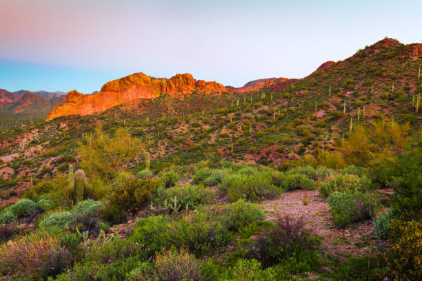 istock Tonto National Forest Desert Mountain Sunrise Landscape 1178792628
