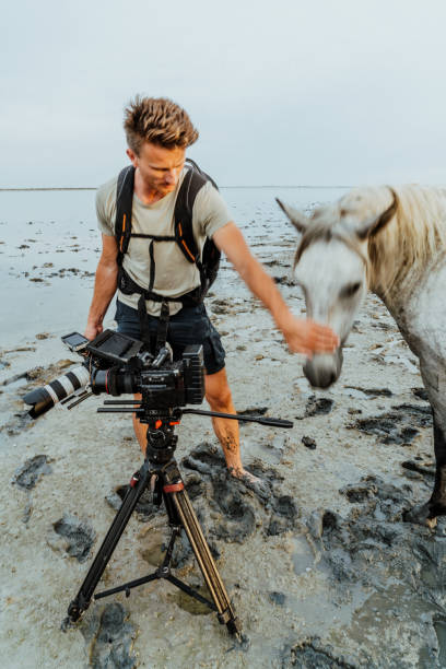 istock Photographer touching wild horse, Provence 1178793588