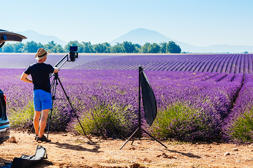 Close up of photographer taking photo of field of blooming lavender, Valensole, Provence, France