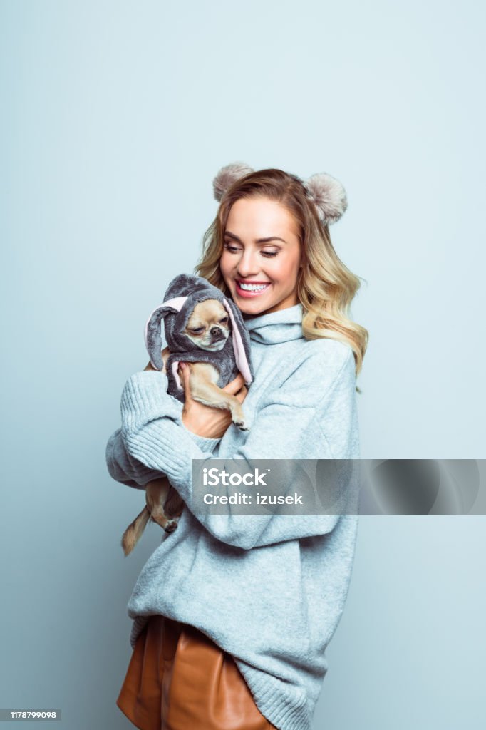 Winter portrait of happy beautiful woman hugging chihuahua Studio shot of beautiful woman wearing sweater and headband standing against grey background and holding small dog. Dog Stock Photo