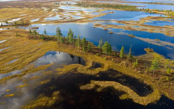 Autumn view from the height of the marshes and tundra of the North of Western Siberia