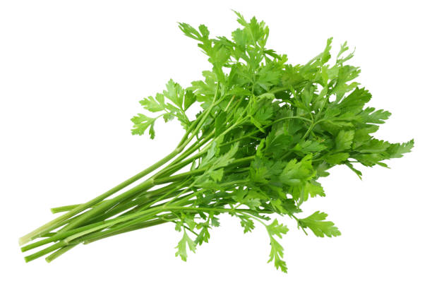 istock green fresh parsley isolated on white background. parsley bunch 1178802056