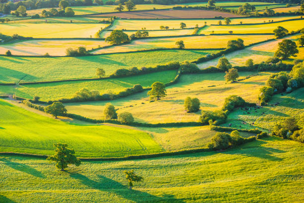 English rolling agricultural landscape A patchwork of small fields, enclosed by hedges and trees. Photograph of Somerset farmland taken from the air. british culture stock pictures, royalty-free photos & images