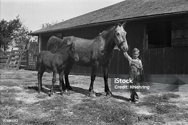 Farm Boy With Mare And Foal In Barnyard 1935 Retro Stock Photo - Download Image Now