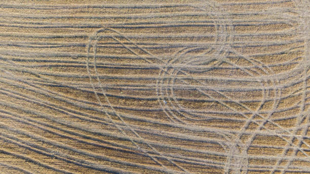 Aerial view of lines in a field stock photo