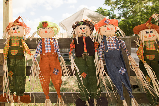 Scarecrow in a pumpkin patch in South Florida in the Fall of 2019.