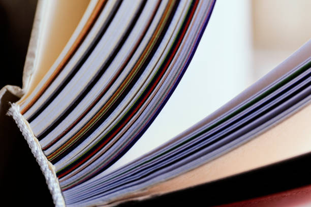 Macro shot of open book. Education and study concept. Close-up of opened book pages. Macro view of book pages. Edges of open paper book sheets close-up