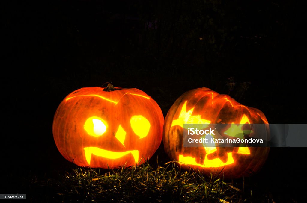 illuminated scary halloween pumpkins shining in dark night spooky carved traditional halloween pumpkins illuminated against black background Autumn Stock Photo