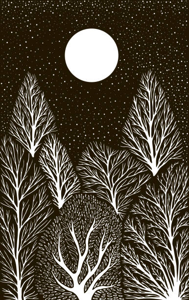 bildbanksillustrationer, clip art samt tecknat material och ikoner med surrealistiskt landskap med skog, under natthimlen, månen och stjärnorna. träd av vit färg isoleras på en svart bakgrund. vektor hand dras svart och vitt illustration. - moon forest