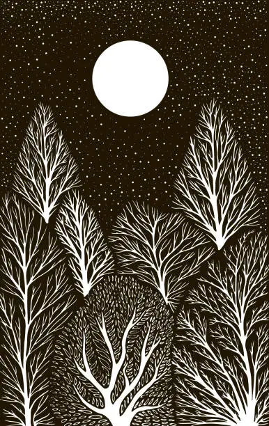 Vector illustration of Surreal Landscape with forest, under the night sky, moon and stars. Trees of white color is isolated on a black background. Vector hand drawn black and white illustration.