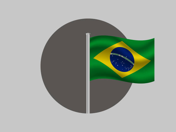 istock Brazil National flag with flagpole inside gray round hole . For your business. original color and proportion. vector illustration, from countries set. 1178808771
