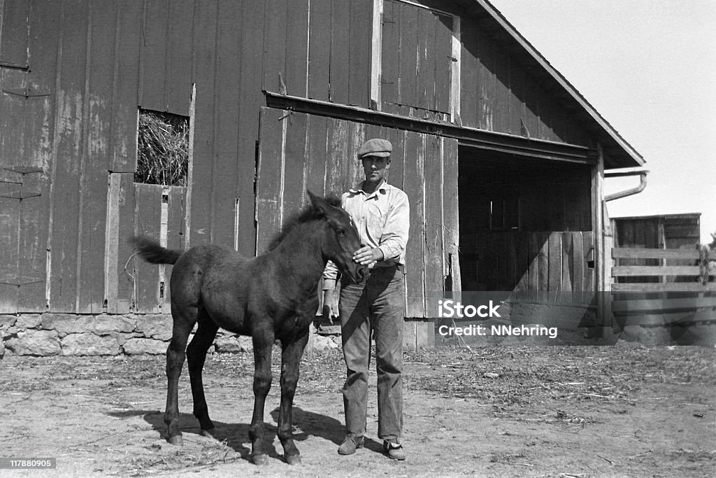 農家と子馬 barnyard になった 1935 年、レトロ - 写真のロイヤリティフリーストックフォト