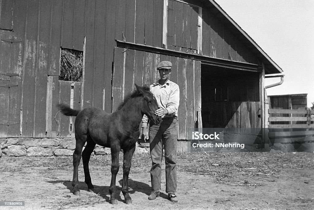 농부, 망아지 in barnyard 1935, 복고풍 - 로열티 프리 사진-이미지 스톡 사진
