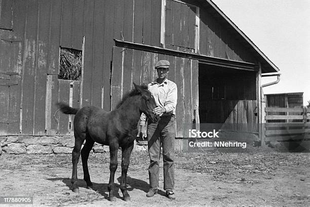 Agricultor Com Potro Em Diversão 1935 Retro - Fotografias de stock e mais imagens de Fotografia - Imagem - Fotografia - Imagem, Estilo retro, Passado