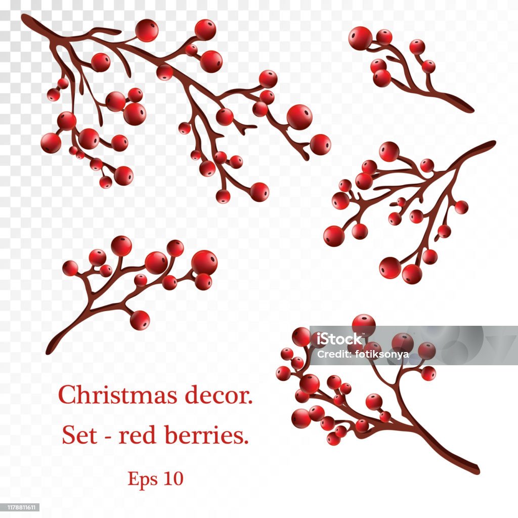 Red Berries Vector Set Bunch Of Holly Berries Set Of Christmas And New Year  Clip Art Realistic Objects Eps10 Stock Illustration - Download Image Now -  iStock