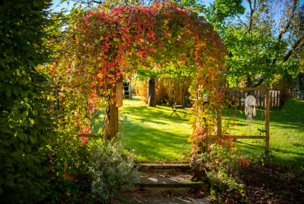 arbor gate en un hermoso jardín verde en otoño - birdhouse bird house ornamental garden fotografías e imágenes de stock