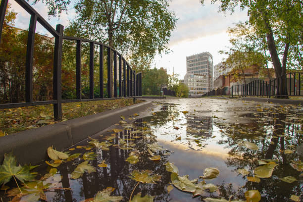 Wet autumn day in the city