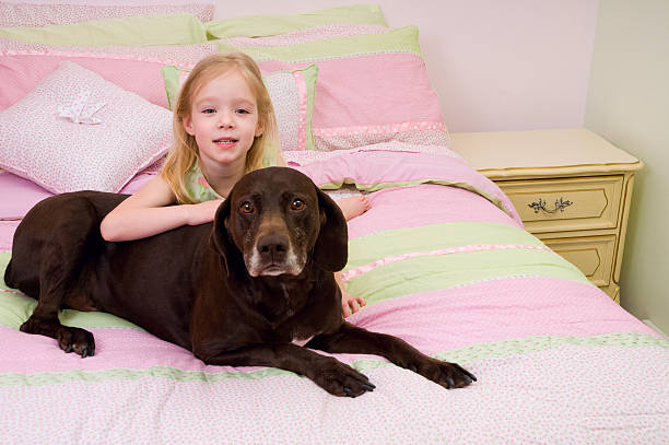 Girl and her Dog stock photo