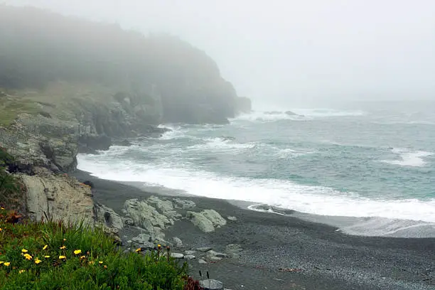 Photo of Foggy Atlantic Coast