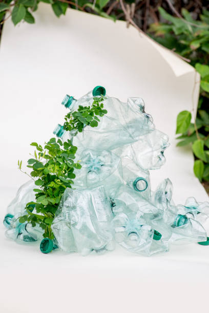 緑は、空のペットボトルを包み、成長します。ゴミを並べ替える。生態系の回復 - tailings container environment pollution ストックフォトと画像