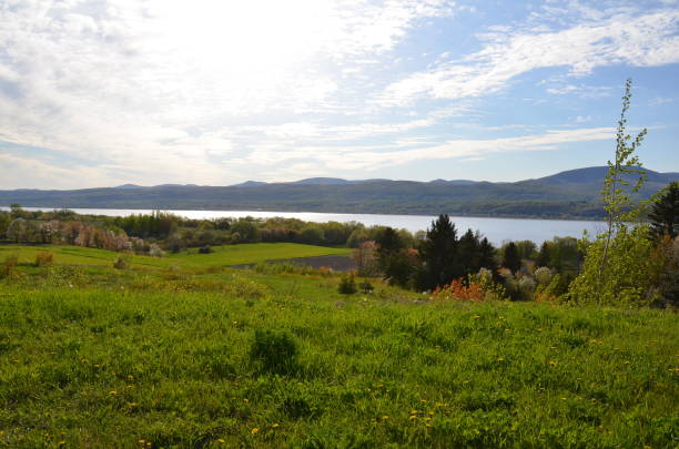 istock river and green grass and trees in Quebec, Canada 1178818429