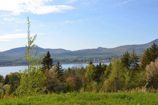 istock river and green grass and trees in Quebec, Canada 1178818455