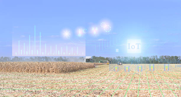 istock combine management and harvesting using Internet of things technologies without human intervention. Future Opportunities in the Agricultural Industry 1178819393
