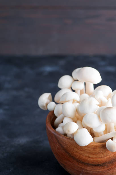 istock White buna-shimeji in wooden rustic bowl on stone dark background 1178819604