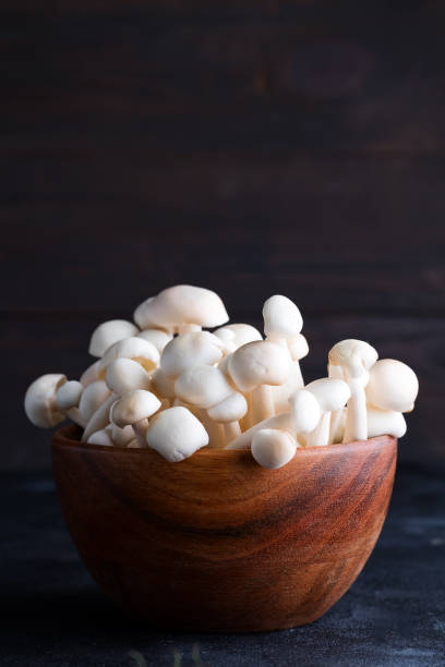 istock White buna-shimeji in wooden rustic bowl on stone dark background 1178821554