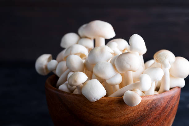 istock White buna-shimeji in wooden rustic bowl on stone dark background 1178821651