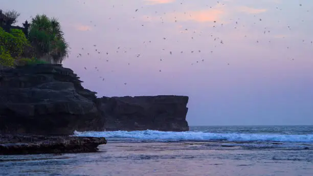 Photo of Black bats silhouettes flying on blue sky in Pura Tanah Lot, Bali beach at sunset. The most popular of tourist attraction. Nature sea landscape background in Indonesia.