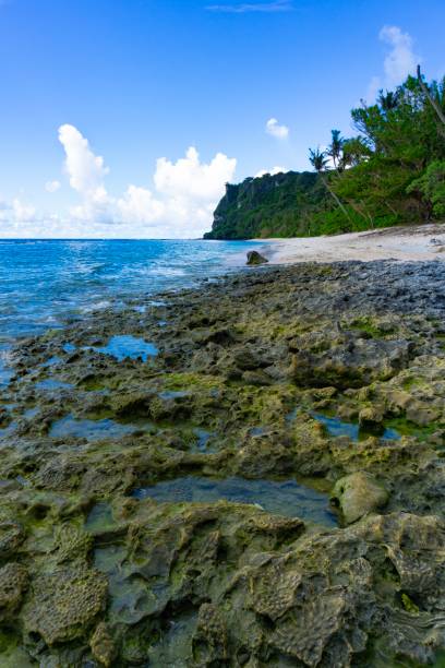 istock Fafai Beach and Old Coral 1178824733
