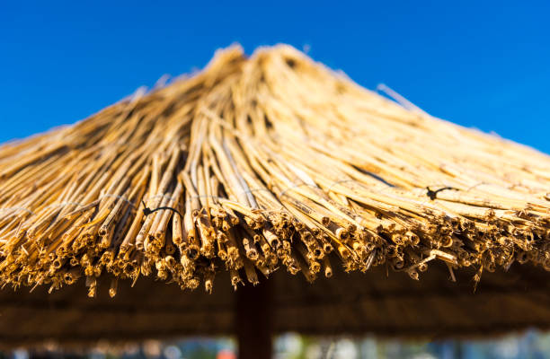 istock Wooden Straw Parasol 1178825829