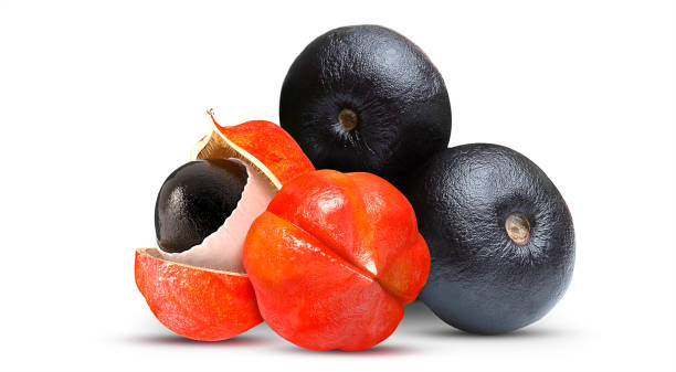 Acai and Guarana Fruit