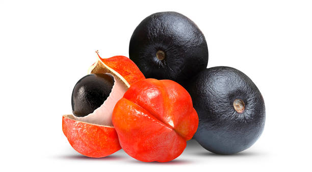 owoce acai i guarana - plum red black food zdjęcia i obrazy z banku zdjęć