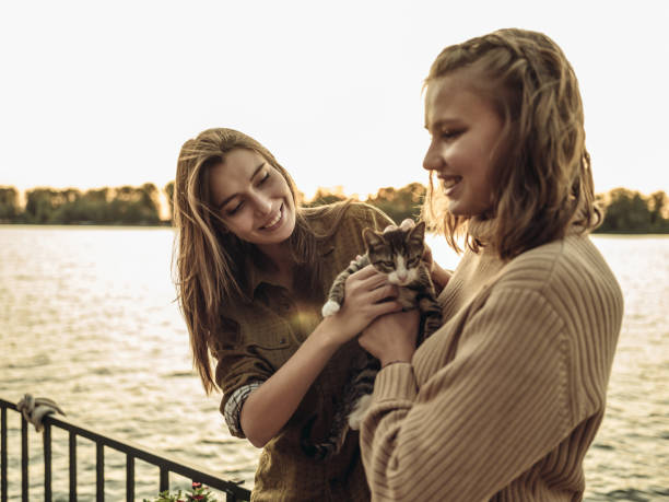 istock End of the summer 1178830958