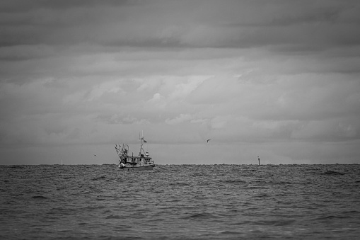 far on the sea floats a fishing boat, which is surrounded by many seagulls and the sky is full of clouds