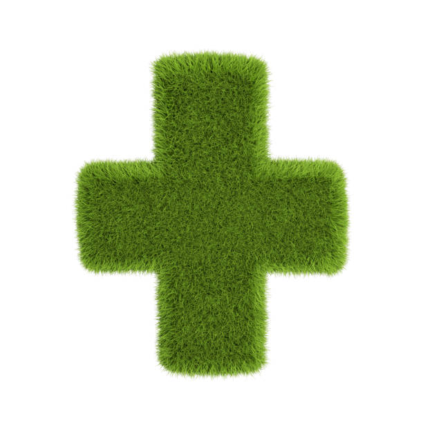 istock Green grass plus, isolated on white background. 3D illustration 1178834098