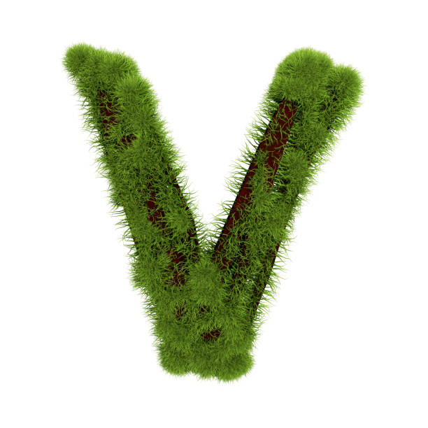 istock Grass letter V isolated on white background. Symbol covered green grass. Eco letter. 3d illustration 1178834272