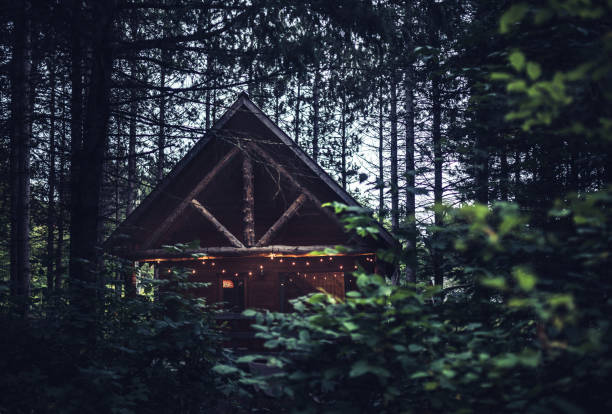 Cozy little wood cabin isolated in the woods