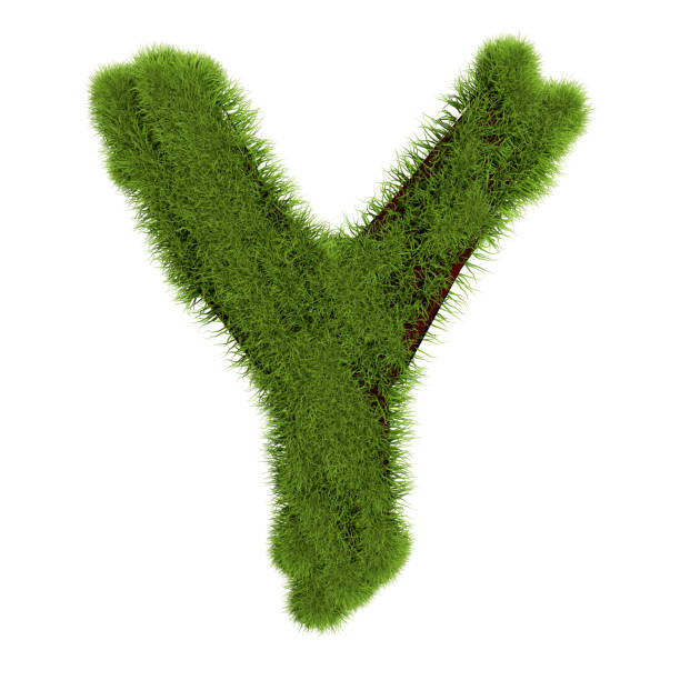 istock Grass letter Y isolated on white background. Symbol covered green grass. Eco letter. 3d illustration 1178834473