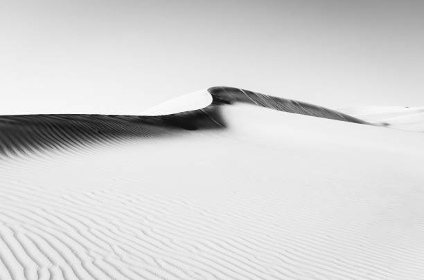 abstract dune ridge in the rub al khali desert, abu dhabi, black and white - liwa desert imagens e fotografias de stock