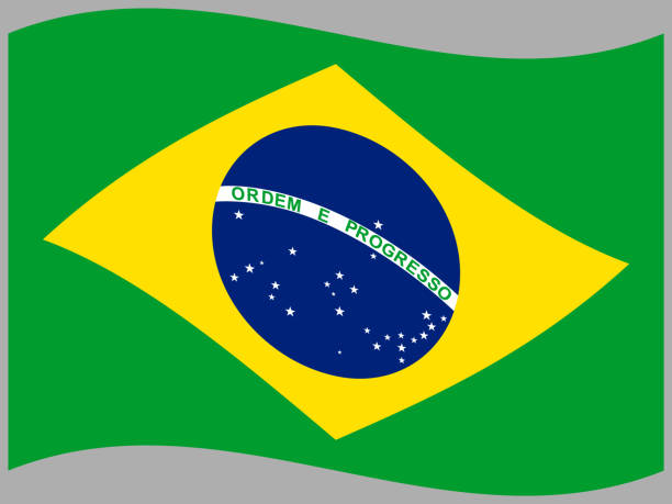 正確なrgbカラーのブラジル国旗 - アメリカ合衆国のベクターアート素材